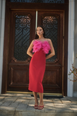 Kailany Organza Flower Maxi Dress