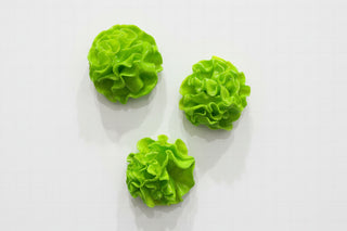 Kitchen Magnets