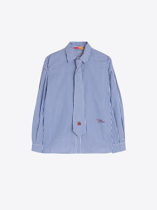 TEAL STRIPED SHIRT TIE