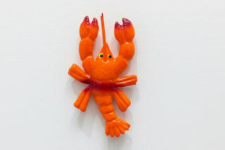 Kitchen Magnets