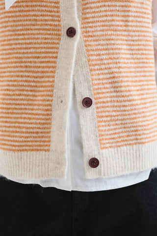 Stripe Knitted Vest