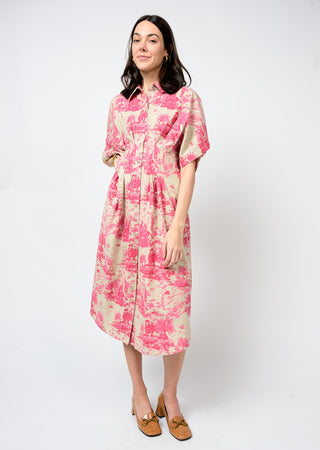 Toile Tucked Dress