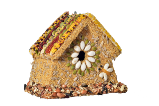 Mr. Bird - The Rustic Wren