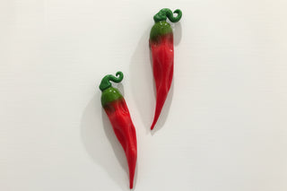 Kitchen Magnets