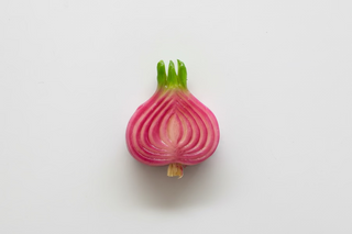 Kitchen Magnets