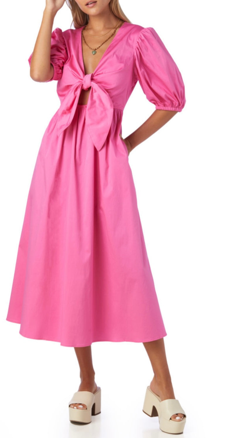 Emilie Dress - Tickled Pink