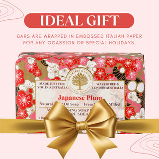 Japanese Plum Soap Bar