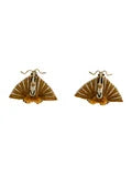 Fan Moth Earrings Gold