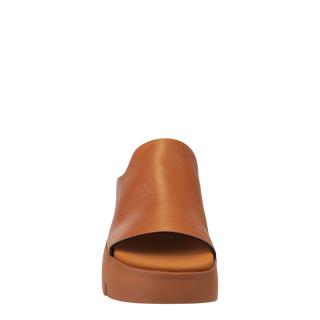 DRIFT in CAMEL, front view