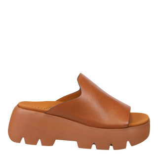 DRIFT in CAMEL, right view